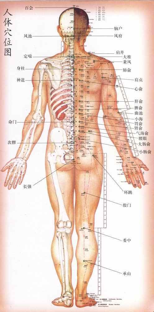 點(diǎn)擊將在新窗口查看全圖